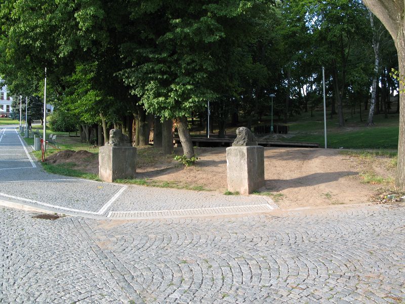 Lvi na vébě kanafasu